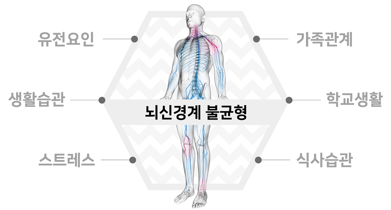 인체의 전신에 걸친 뇌신경계 불균형을 중심으로 유전 요인, 가족 관계, 학교 생활, 식사 습관, 스트레스, 생활 습관 등 틱장애와 ADHD를 유발하는 환경적 요인을 육각형 구조로 배치하여 뇌불균형의 복합적 원인을 설명.