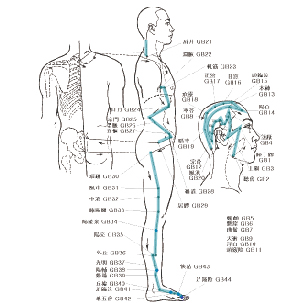 3. 측면 인체에 나타난 한의학적 경락 경로도. 전신을 흐르는 신경과 경락이 연결되어 있음을 시각적으로 설명하는 동양의학 자료.